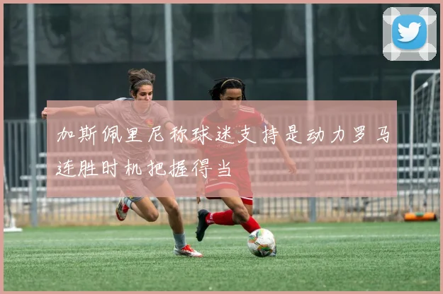 加斯佩里尼称球迷支持是动力罗马连胜时机把握得当