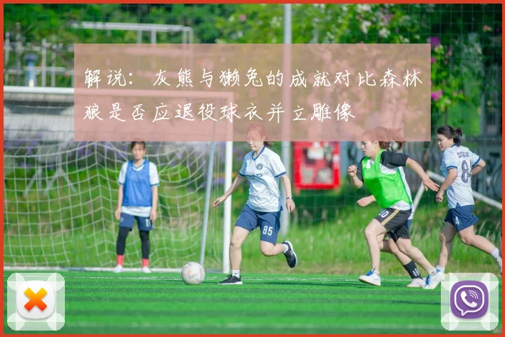 解说：灰熊与獭兔的成就对比森林狼是否应退役球衣并立雕像